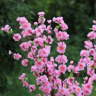 工厂批发 仿真桃花 满洲里市 可发货