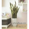 上海绿化养护公司 上海绿化保养 上海盆栽花卉租赁 如画供